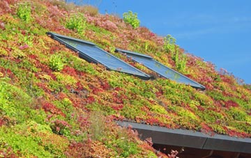 Knossington living roof systems